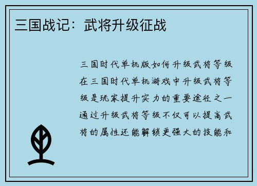 三国战记：武将升级征战